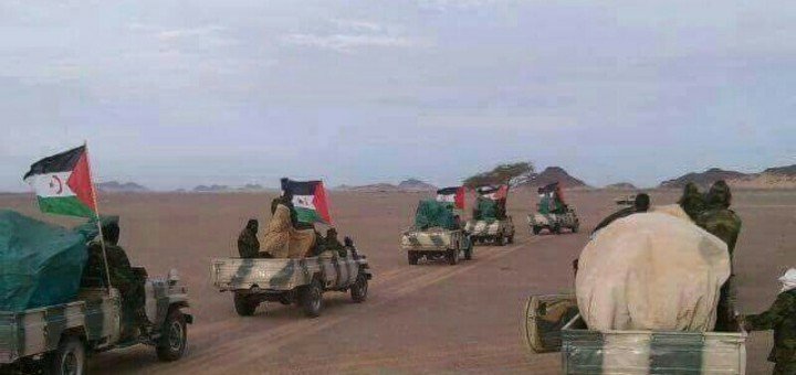 polisario