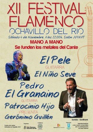 Ochavillo del Río: Festival Flamenco