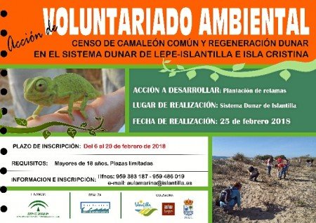Islantilla: Acción de voluntariado medioambiental