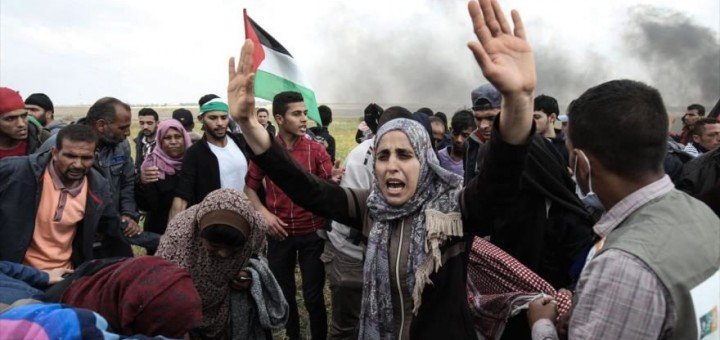gaza
