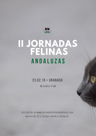 Granada: II Jornada Felina Andaluza
