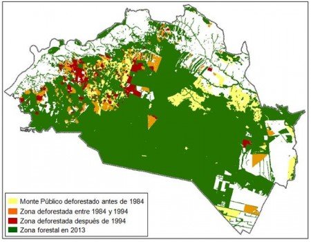 Deforestacion-Corona-Norte-Donana_EDIIMA20160331_0602_5