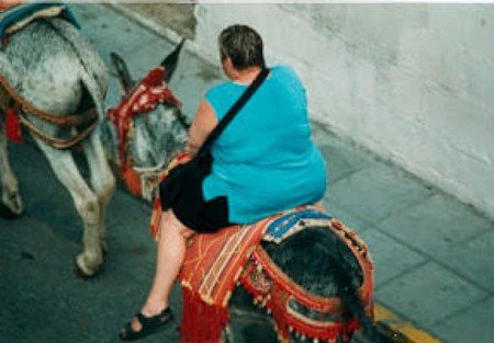 Burros Taxis 2