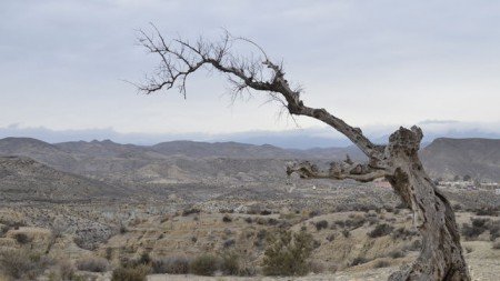 Vista-zona-desertica-Tabernas-Almeria_EDIIMA20170320_0260_4