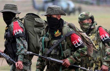 ELN