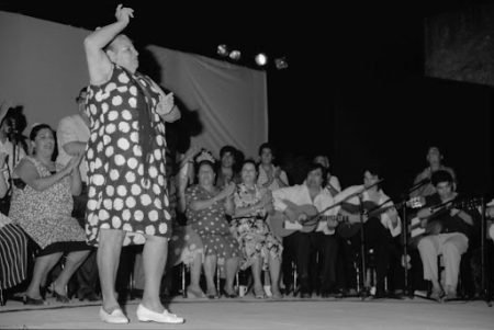 Día Internacional del Flamenco (vídeo)